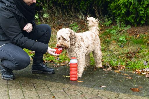 Image du produit Beeztees Gourde (0.55 l)