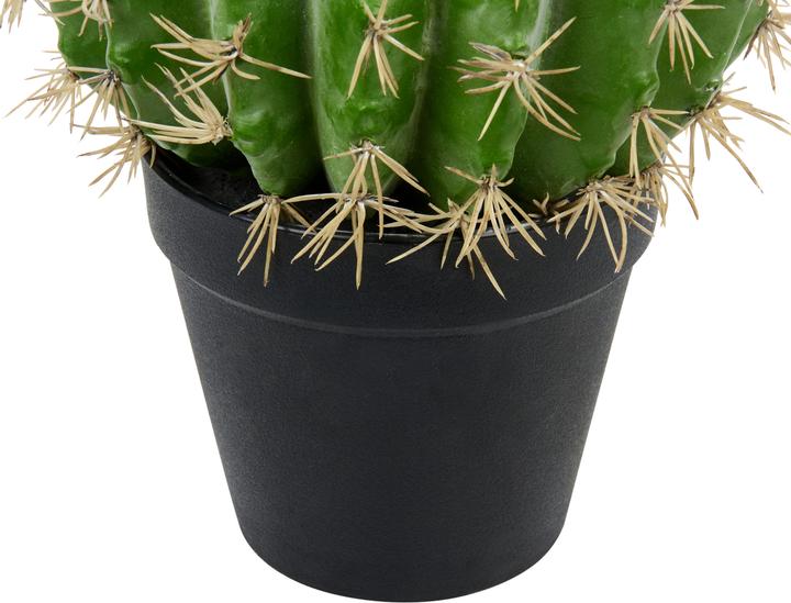 Actual product image Beliani Ball Cactus (33 cm)