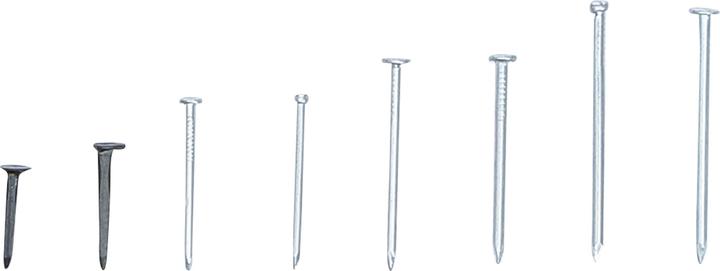Immagine prodotto BGS Assortimento chiodi a testa piana 750 pz. (750 Pezzo/i, 32 mm)