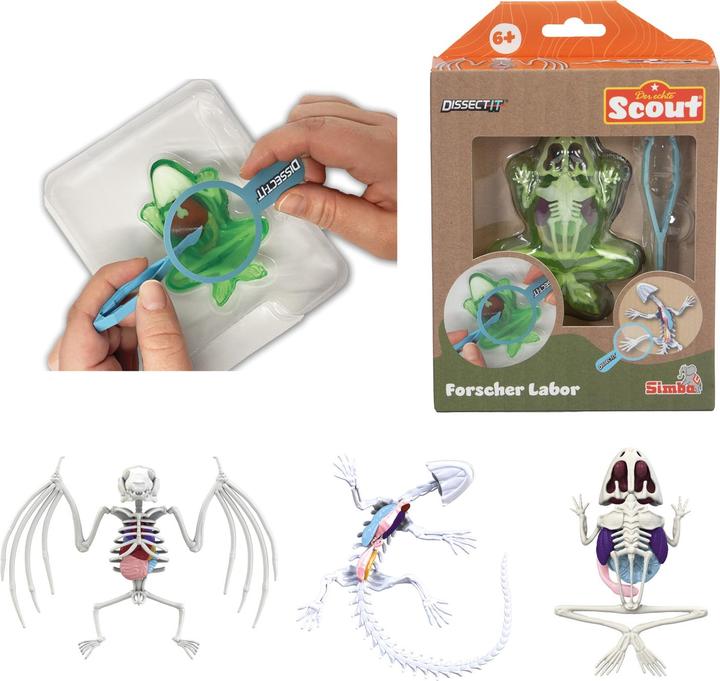 Productafbeelding Simba Scout Dissect-It Mini Lab, 3-p.