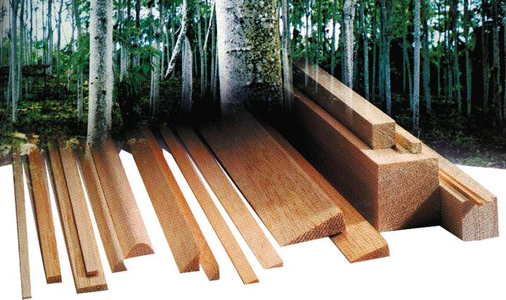 Image du produit Modellbau Lindinger Moulure carrée en pin 4x15x1000mm