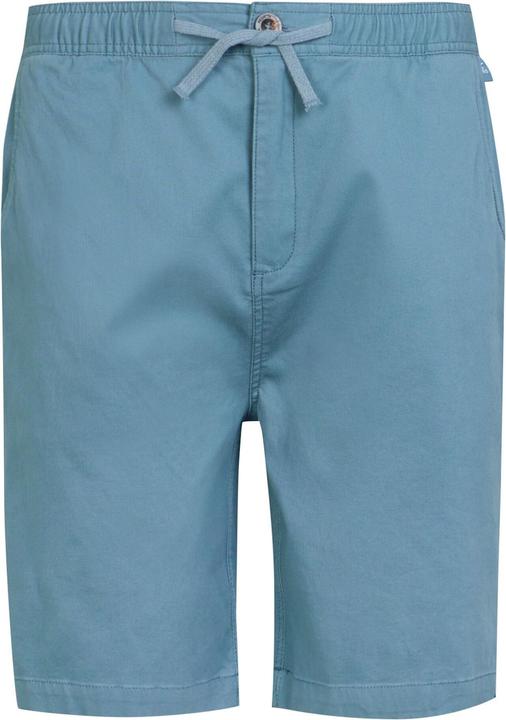 Actual product image Regatta Mens Aldan Chino Shorts (33)