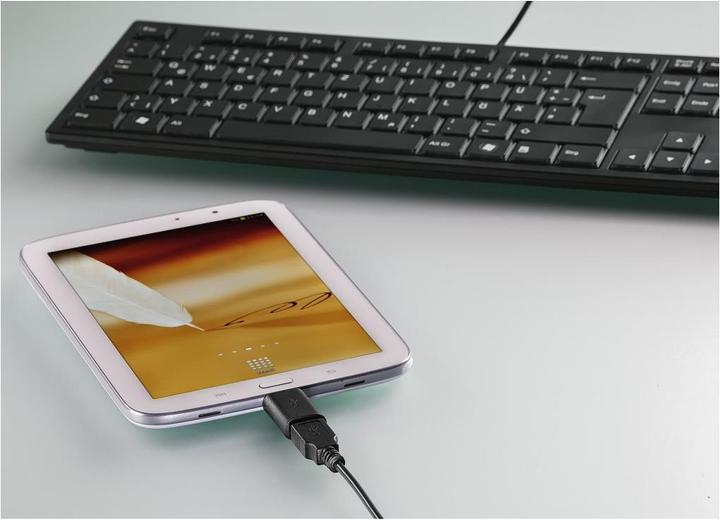 Actual product image Hama USB 2.0 OTG Adapter (Micro USB-B)