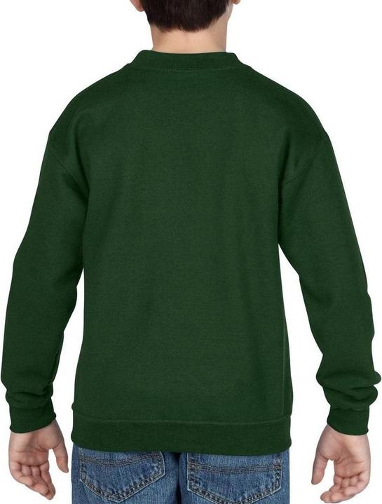 Actual product image Gildan Childrens Unisex Heavy Blend Crewneck Sweatshirt (XS)