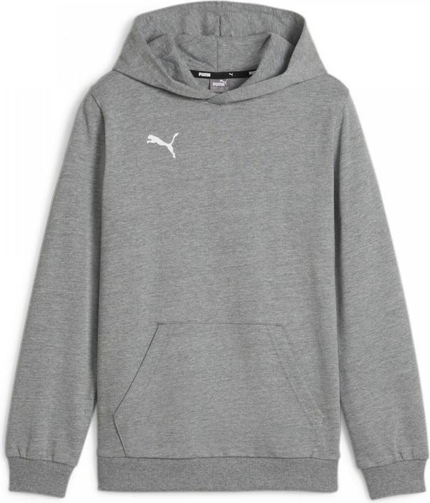 Actual product image Puma teamGOAL Casuals Hoody Jr (116)