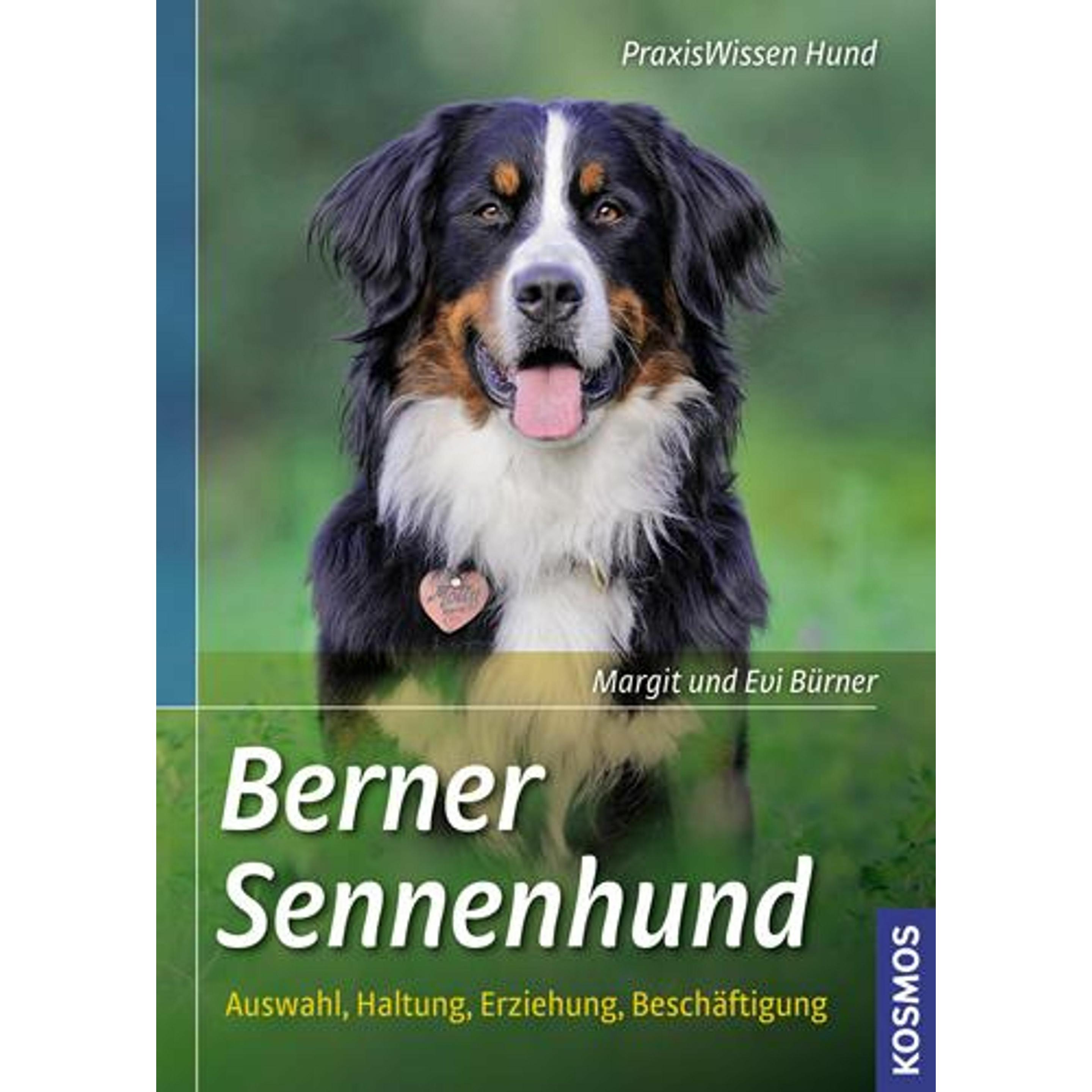 Berner Sennenhund, Ratgeber von Evi Bürner