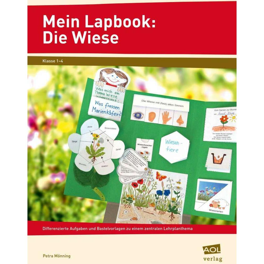 Mein Lapbook: Die Wiese, Schulbücher von Petra Mönning