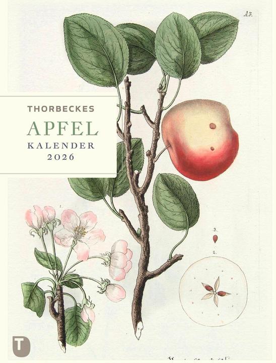 Image du produit Thorbeckes Apfel-Kalender 2026 (24 x 32 cm)