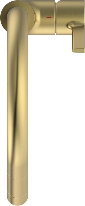 Actual product image Ideal Standard Gusto Ausld.241mm 2F showerhead