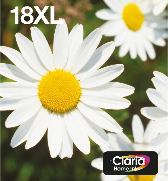 Epson 18XL EasyMail Daisy Claria Home Multipack (BK, C, M, Y)