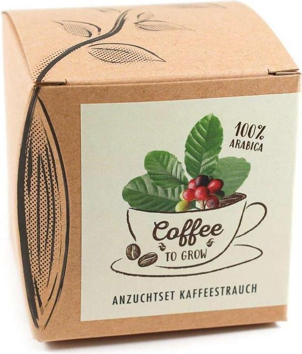 Naturkraftwerk Anzuchtset Coffee-to-grow mit Kaffeesaatgut