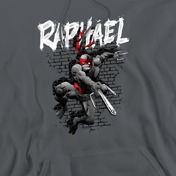 Immagine prodotto Teenage Mutant NT Felpa con Cappuccio Raffaello Uomo (S)