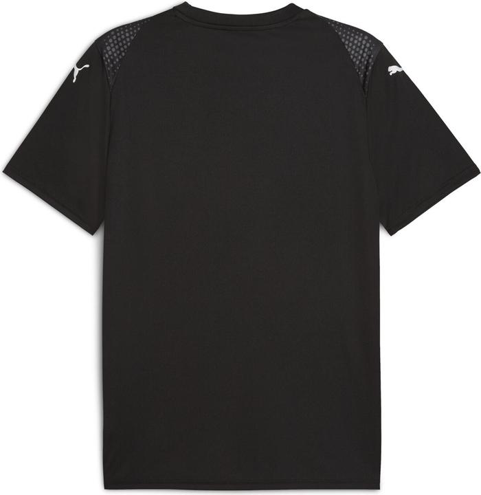 Actual product image Puma teamULTIMATE Jersey (L)