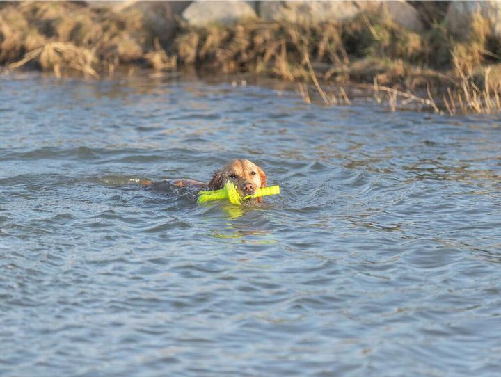 Produktbild Trixie Dog Activity Mot-Aqua 29cm