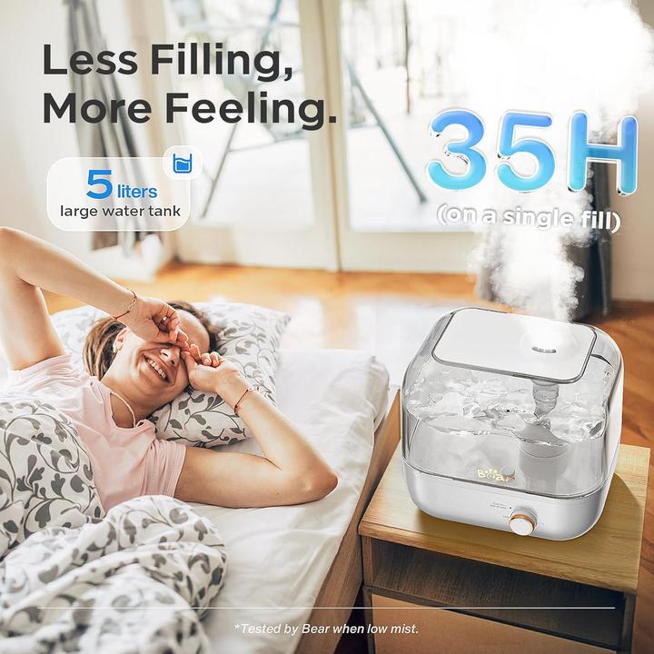 Produktbild Bear Rock Luftbefeuchter