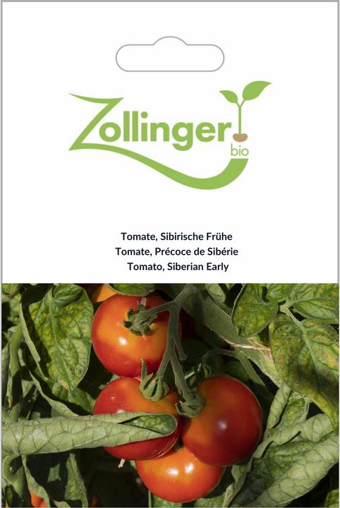 Image du produit Zollinger Bio Tomate, Sibérie précoce (Germes)