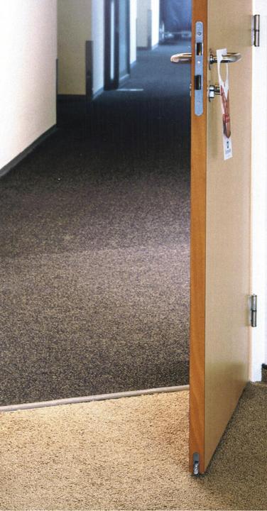 Actual product image Elton Ellen Autom. door bottom seal EM Soundproof Omega for grooving silver, L 1208mm