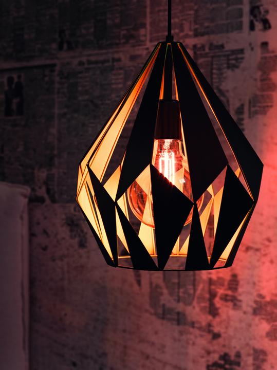 Produktbild EGLO Carlton (E27)