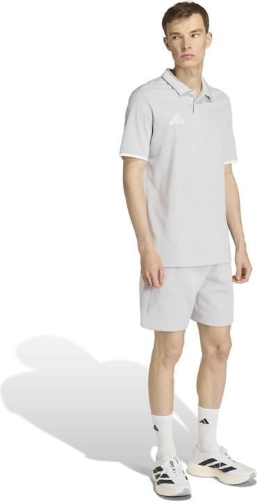 Actual product image Adidas graues Herren-Poloshirt von Entrada (S)