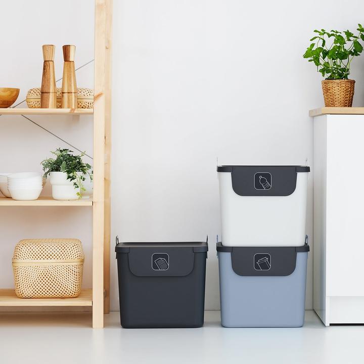 Image du produit Rotho Sistema di Separazione dei Rifiuti Jive (30 l)