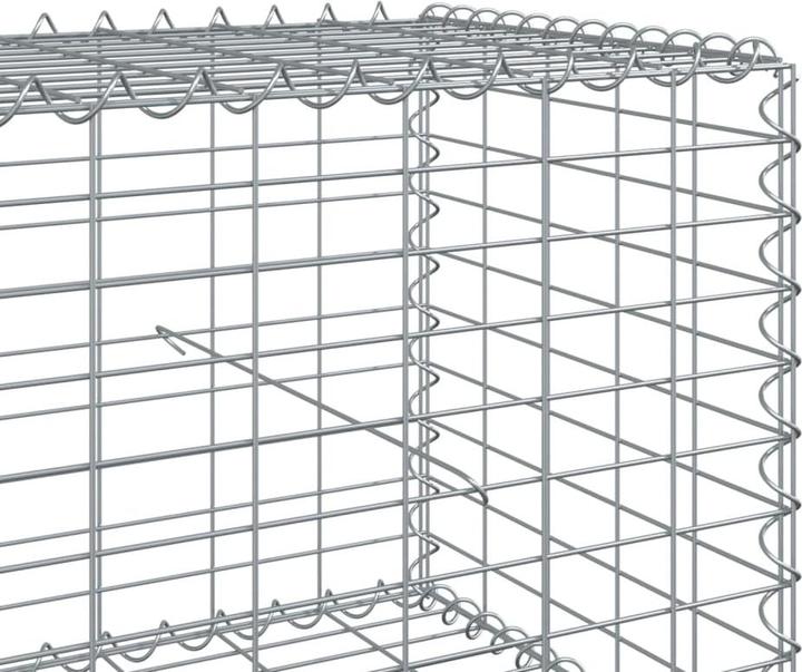 Actual product image vidaXL Gabionenkorb