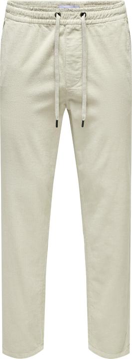 Image du produit Only & Sons Onslinus Tap Corduroy 0185 Pant Noos (M)