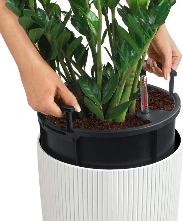 Actual product image Lechuza Cilinro Color 23 (23 cm)