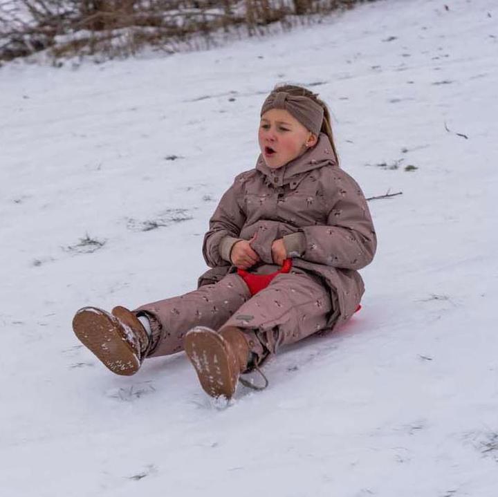 Produktbild dantoy Poporutscher