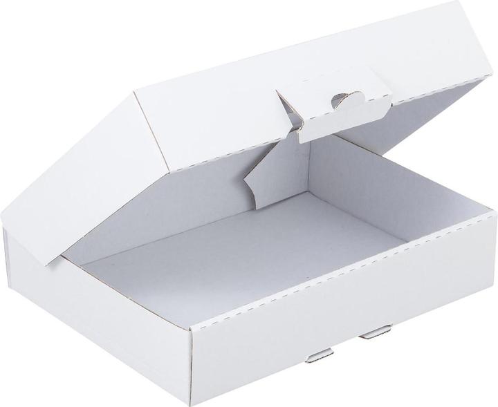 Immagine prodotto Brieger Scatola con cerniera (220 x 155 x 45 mm, 1 x)
