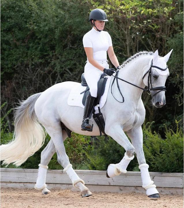 Produktbild Premier Equine Air-Tech Techno (XL)