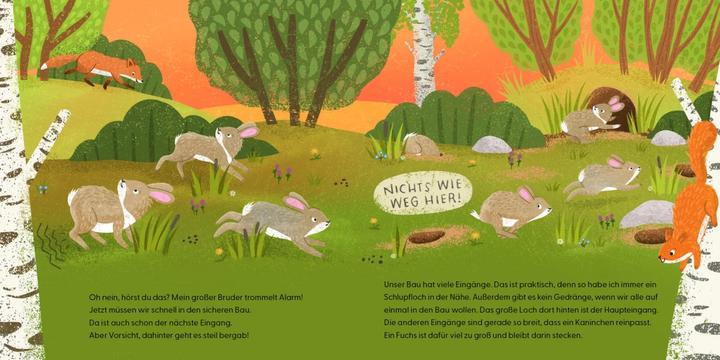 Produktbild Kennst du mich? Ich bin ein Kaninchen! (Deutsch, Andrea Weller-Essers, 2024)