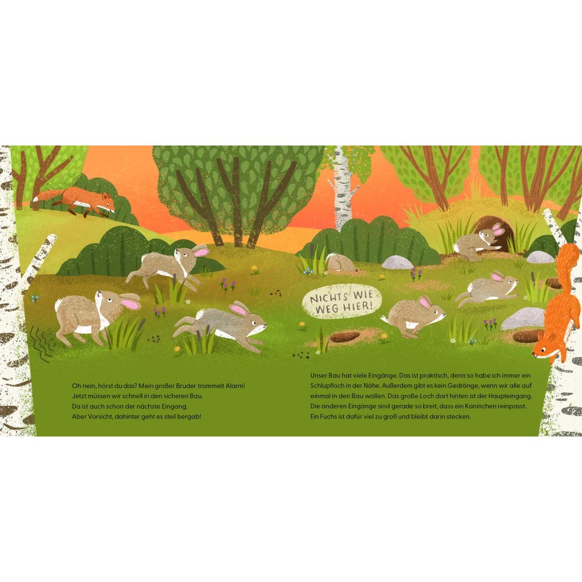 Thumbnail - Kennst du mich? Ich bin ein Kaninchen!, Kinderbücher von Andrea Weller-Essers, Sandra Kissling