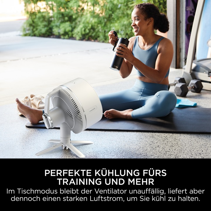 Immagine prodotto Shark FA220EU FlexBreeze (58.70 dB)