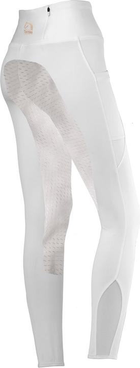 Produktbild Tattini Begonia (44)