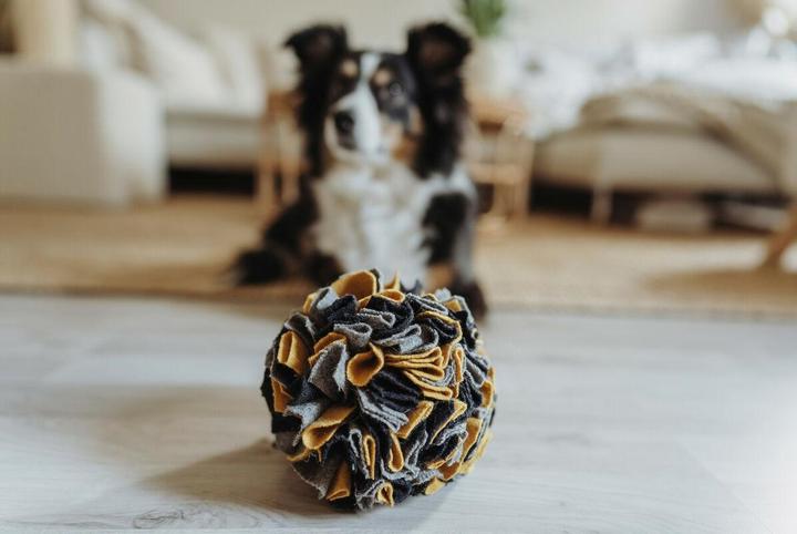 Immagine prodotto Hunter Sniffing ball Eiby (Palla giocattolo per cani)