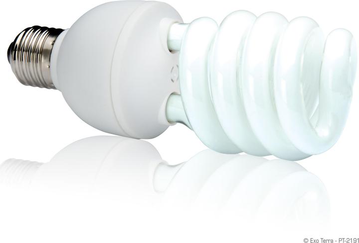 Actual product image Exo Terra Repti Glo 2.0 Compact (UVA, UVB)