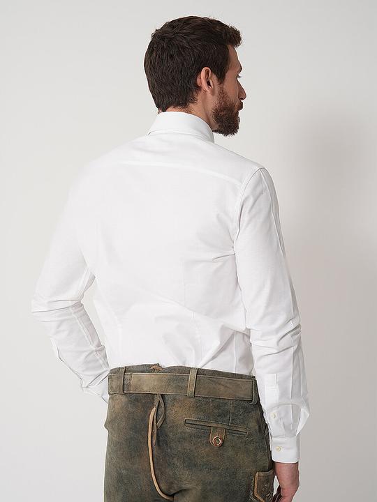 Image du produit Gottseidank Eddy (XL)