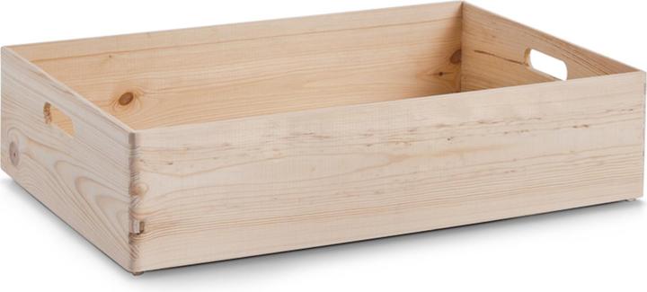 Actual product image Zeller Present All Purpose Box (40 cm, 36 l, 1x)