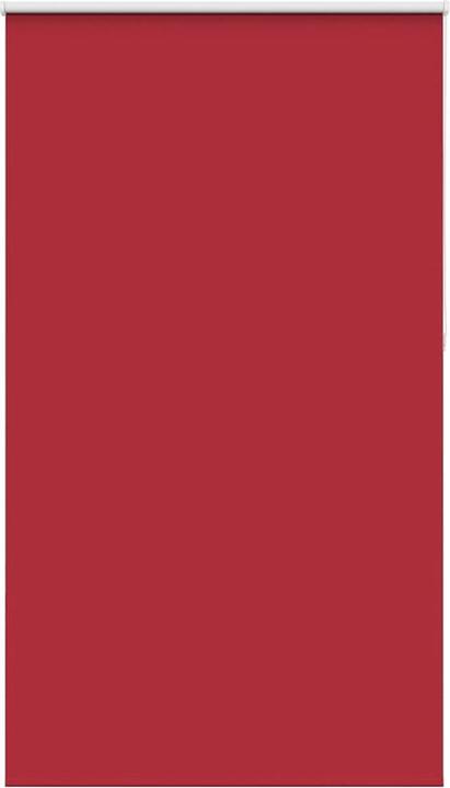 Rot