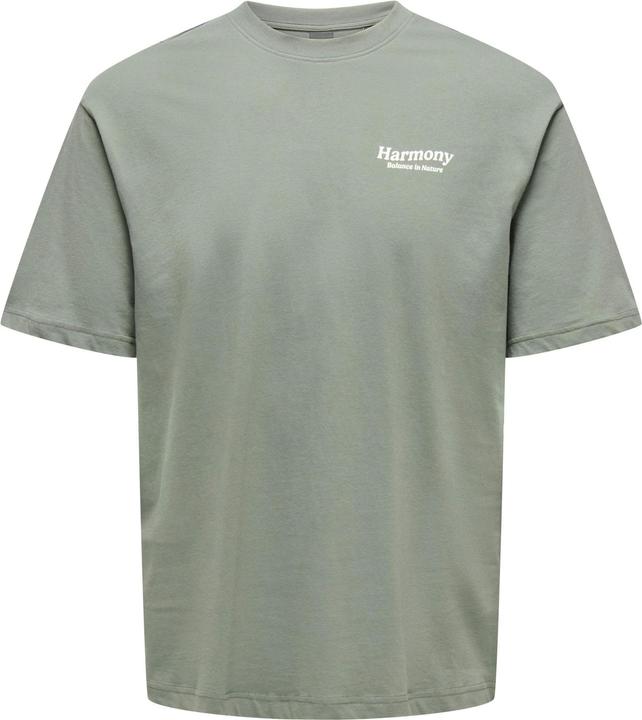 Produktbild Only & Sons Onskeane Rlx Ss Print Tee Noos (M)