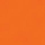 Immagine prodotto Talens Vernice opaca Ecoline 30ml (30 ml)