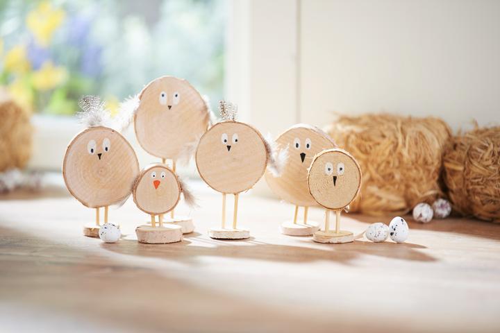 Actual product image VBS Bark discs "Round", Ø approx. 3-4 cm, 10 pieces