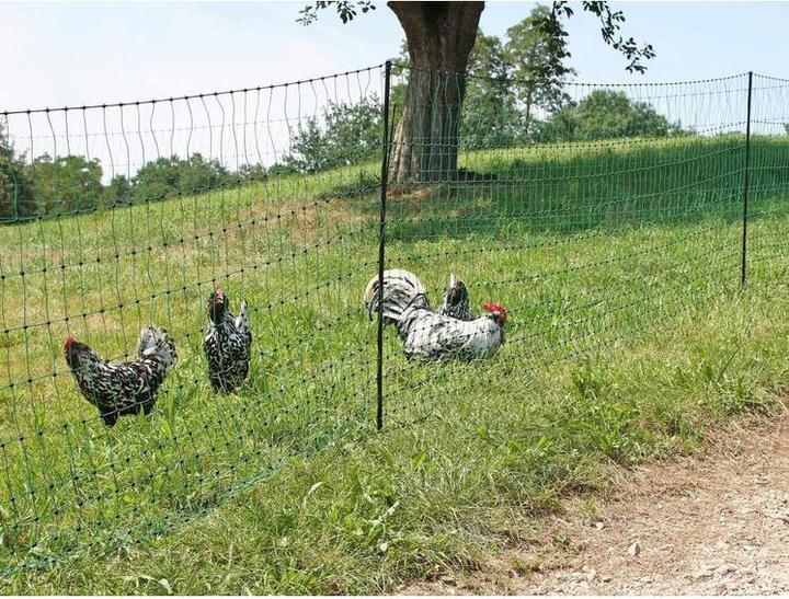 AKO Poultry Net 50 m, green, 112cm double prong,not electrifiable