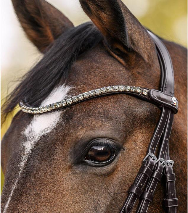 Immagine prodotto Waldhausen X-Line Shine