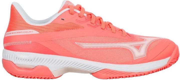Produktbild Mizuno Wave Exceed Court Cc (41)