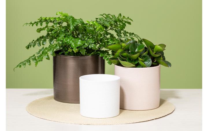 Actual product image Scheurich Flowerpot 828 (40 cm)