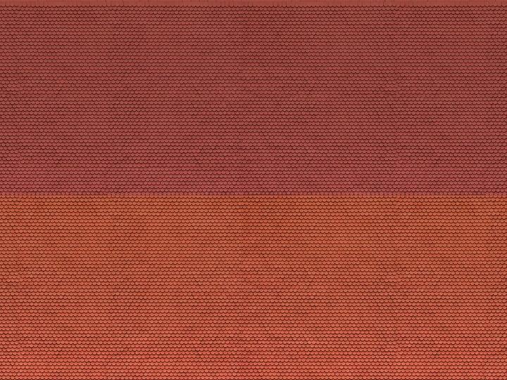 Image du produit Noch Plaque carton 3D N Biberschwanz