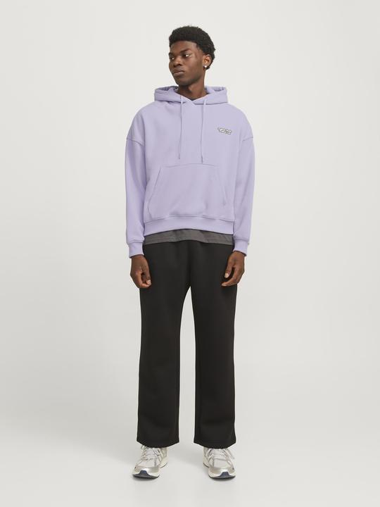 Produktbild Jack & Jones Gedruckt Kapuzenpullover Kapuzenpullover (M)