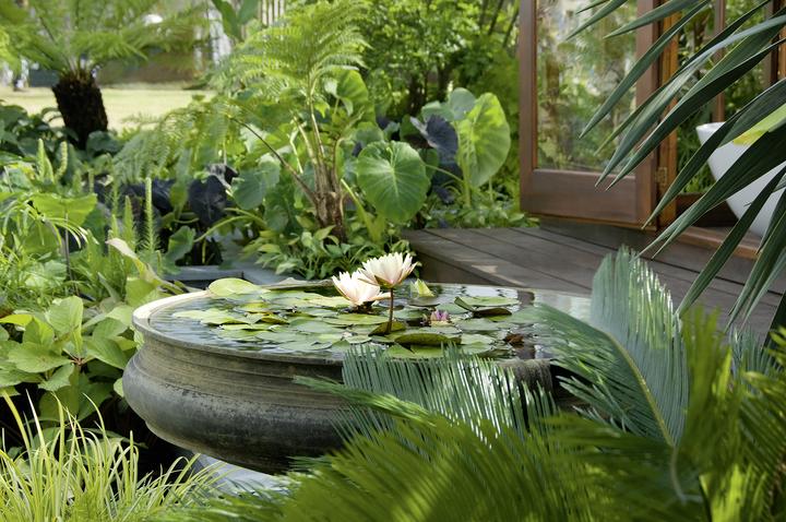 Produktbild Wasser im Garten 2 (Deutsch, Jörg Baumhauer, 2016)