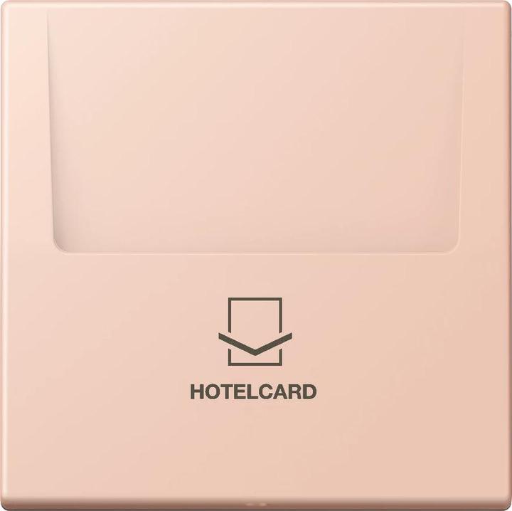 Image du produit JUNG Guichet Hotelcard (Carte clé)